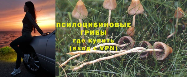 мет Арсеньев