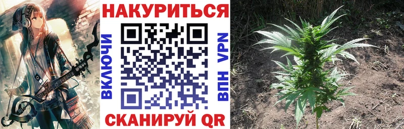 Каннабис AK-47  наркотики  omg зеркало  Грязовец 